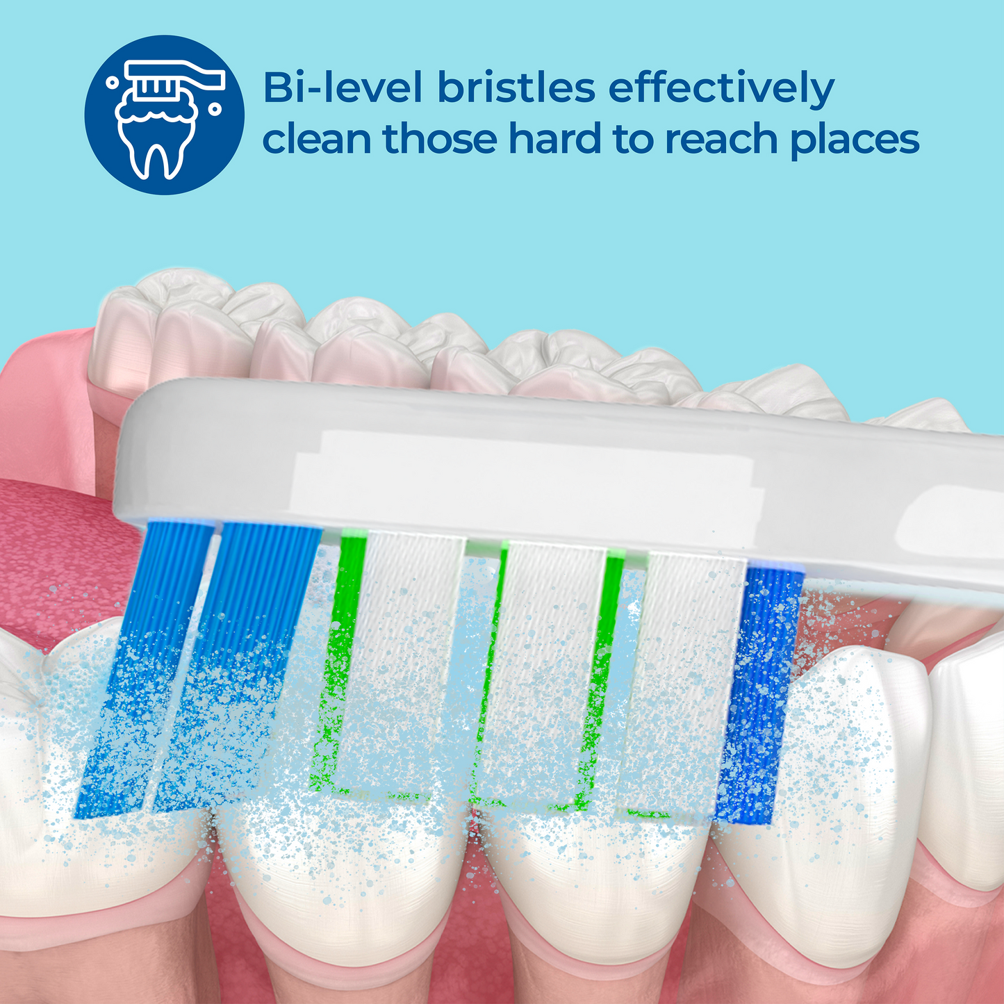 Bi-level bristles effectively clean those hard to reach places