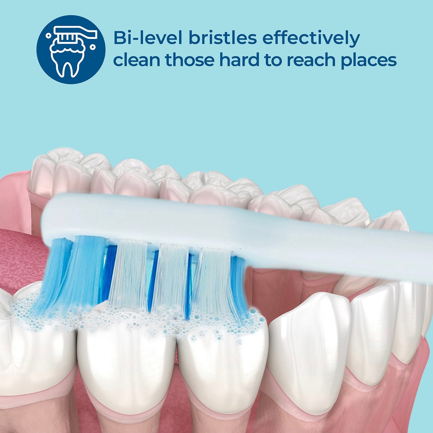 Bi-level bristles effectively clean those hard to reach places