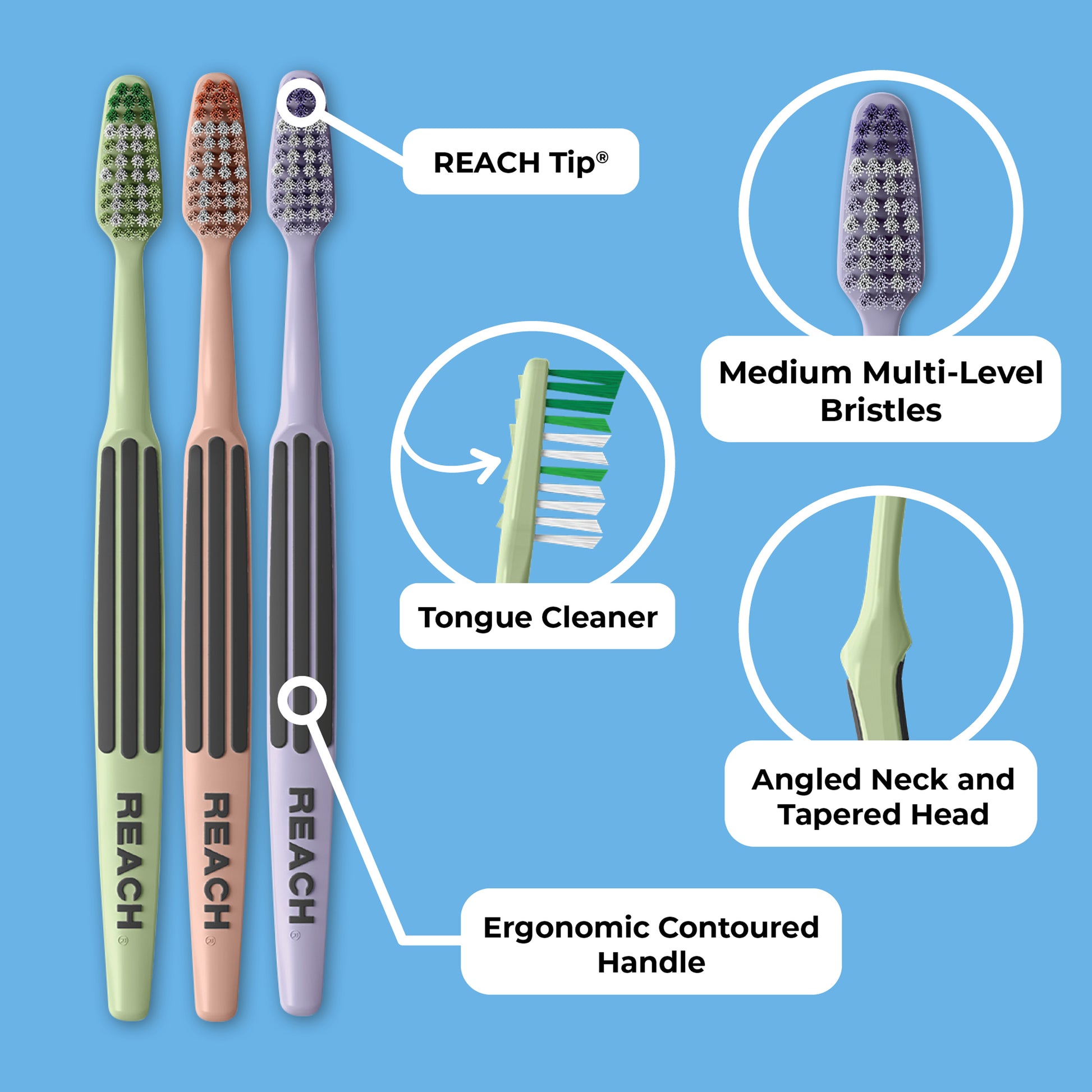 Reach Tip, Medium multi-level bristles, tongue cleaner, angled neck and tapered head, ergonomic contoured handle