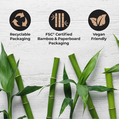 Recyclable Packaging, FSC Certified Bamboo and Paperboard packaging, vegan friendly