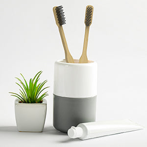2 Bamboo toothbrushes in toothbrush holder with a plant beside it